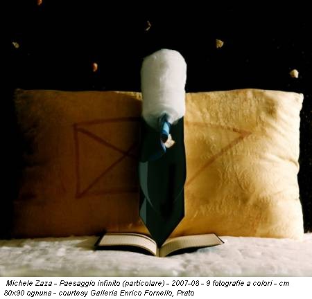 Michele Zaza - Paesaggio infinito (particolare) - 2007-08 - 9 fotografie a colori - cm 80x90 ognuna - courtesy Galleria Enrico Fornello, Prato