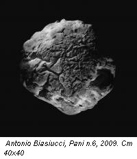 Antonio Biasiucci, Pani n.6, 2009. Cm 40x40