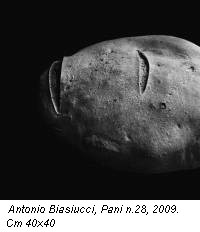 Antonio Biasiucci, Pani n.28, 2009. Cm 40x40