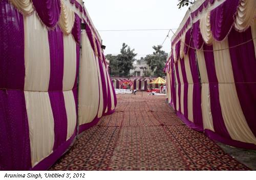 Arunima Singh, 'Untitled 3', 2012
